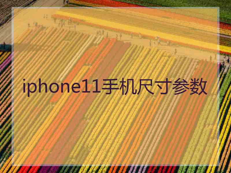 iphone11手机尺寸参数