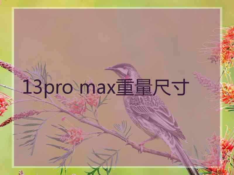 13pro max重量尺寸