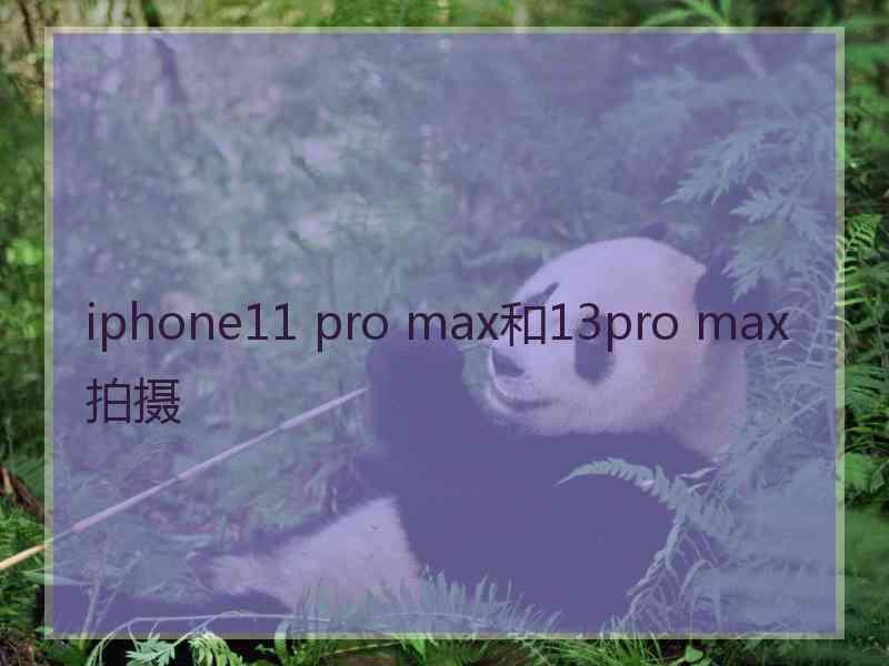 iphone11 pro max和13pro max拍摄