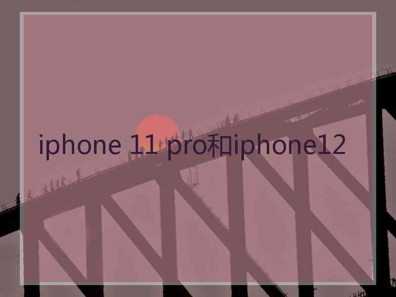 iphone 11 pro和iphone12