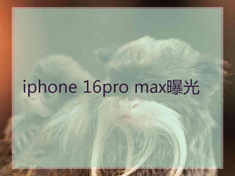 iphone 16pro max曝光