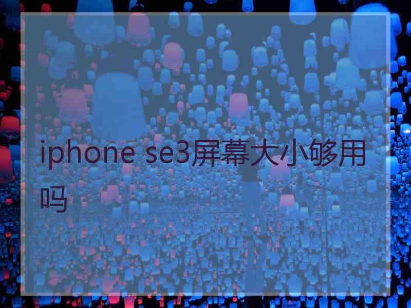 iphone se3屏幕大小够用吗