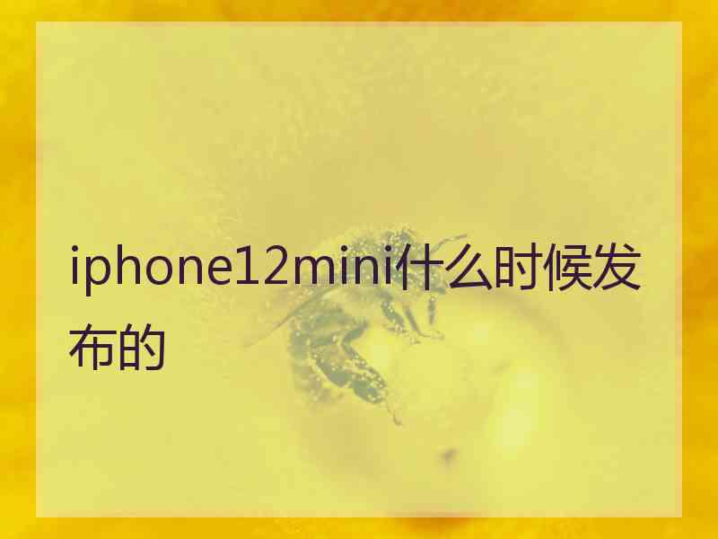 iphone12mini什么时候发布的