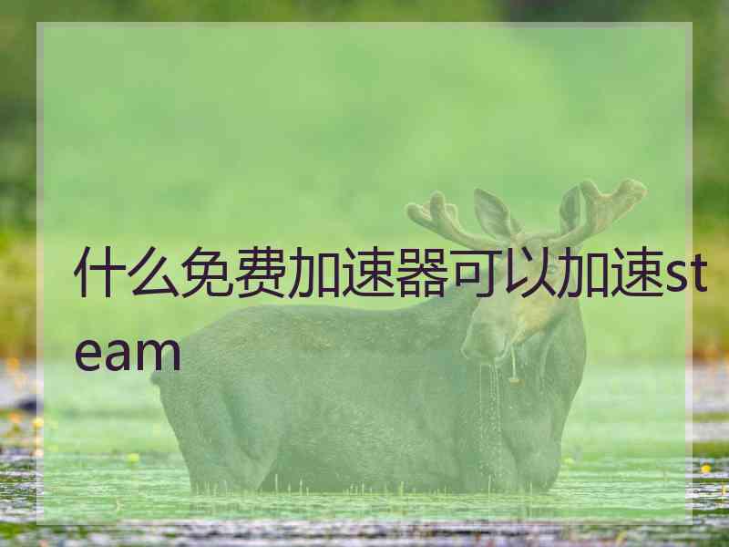 什么免费加速器可以加速steam