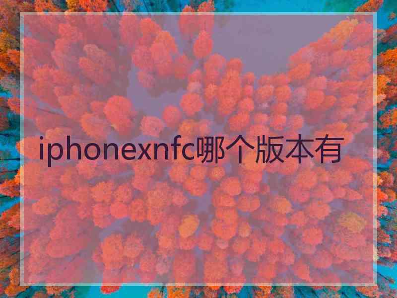 iphonexnfc哪个版本有