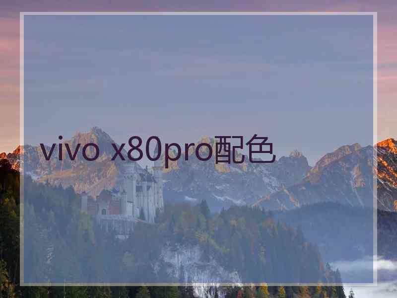 vivo x80pro配色