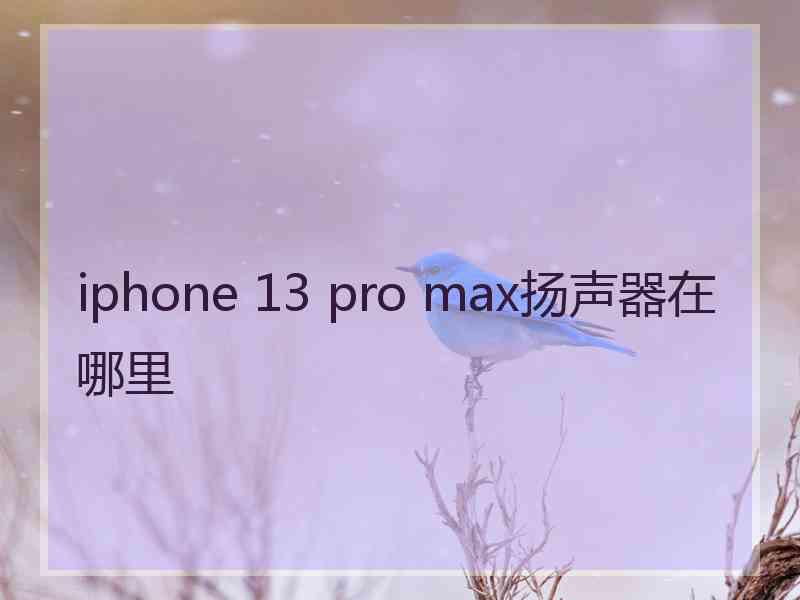 iphone 13 pro max扬声器在哪里