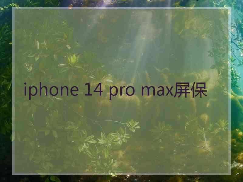 iphone 14 pro max屏保