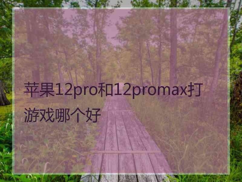 苹果12pro和12promax打游戏哪个好