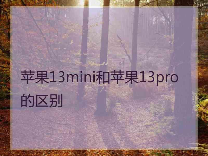 苹果13mini和苹果13pro的区别