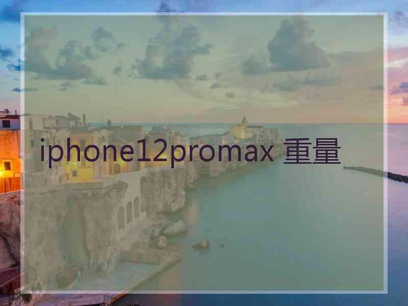 iphone12promax 重量