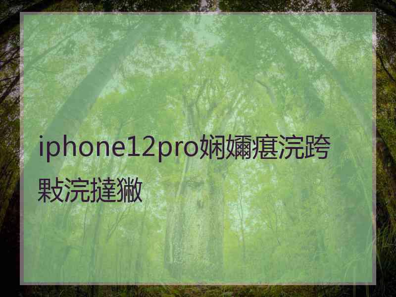 iphone12pro娴嬭瘎浣跨敤浣撻獙