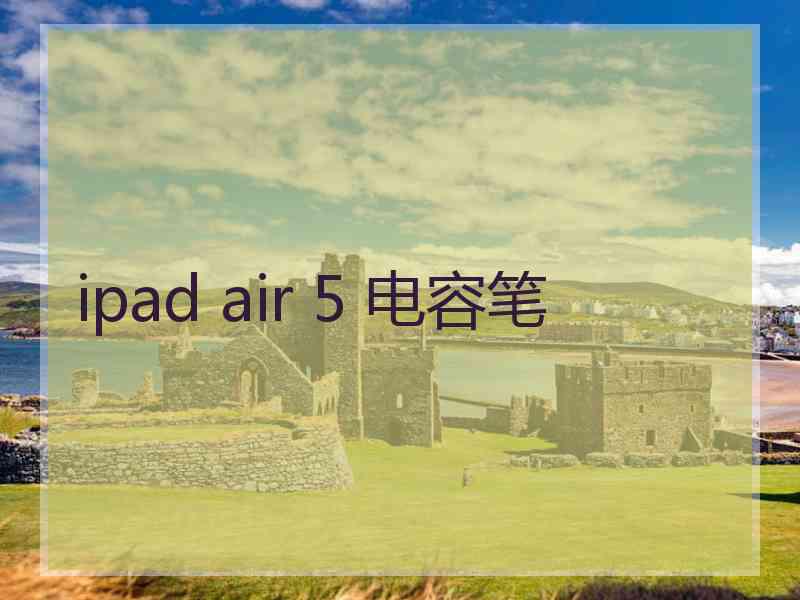 ipad air 5 电容笔