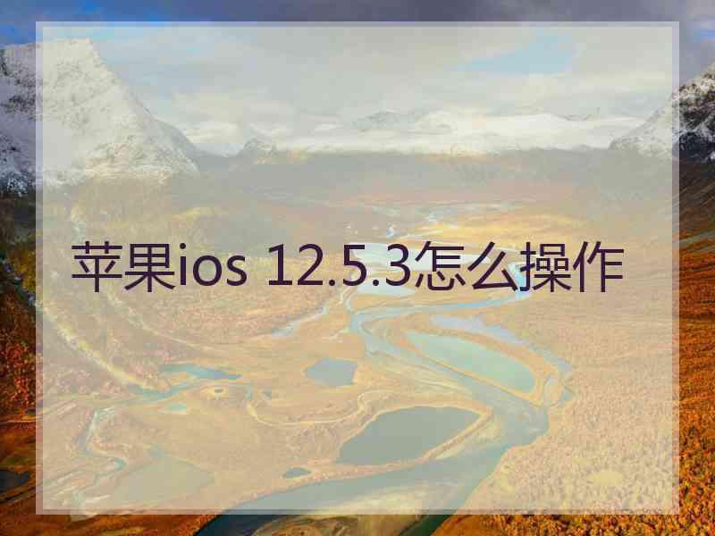 苹果ios 12.5.3怎么操作