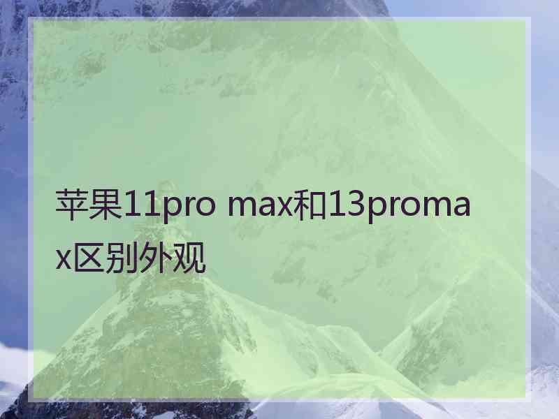 苹果11pro max和13promax区别外观