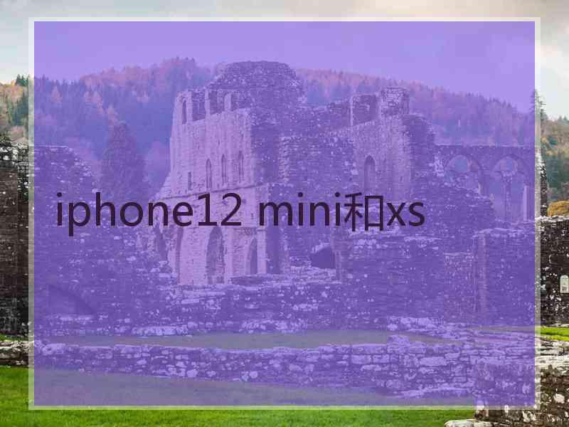 iphone12 mini和xs