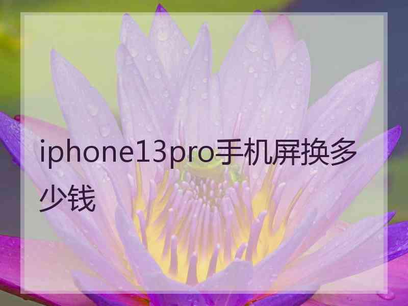 iphone13pro手机屏换多少钱