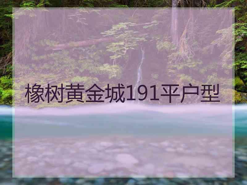 橡树黄金城191平户型