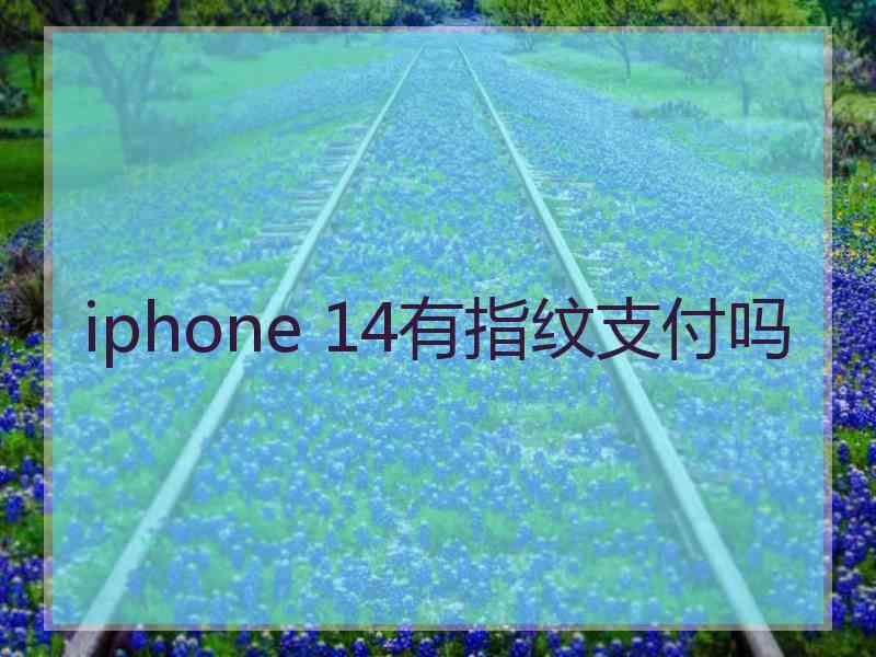 iphone 14有指纹支付吗