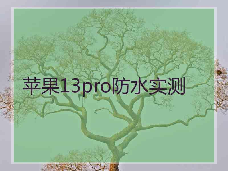 苹果13pro防水实测