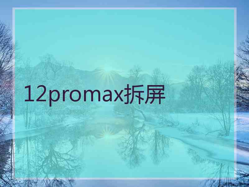 12promax拆屏