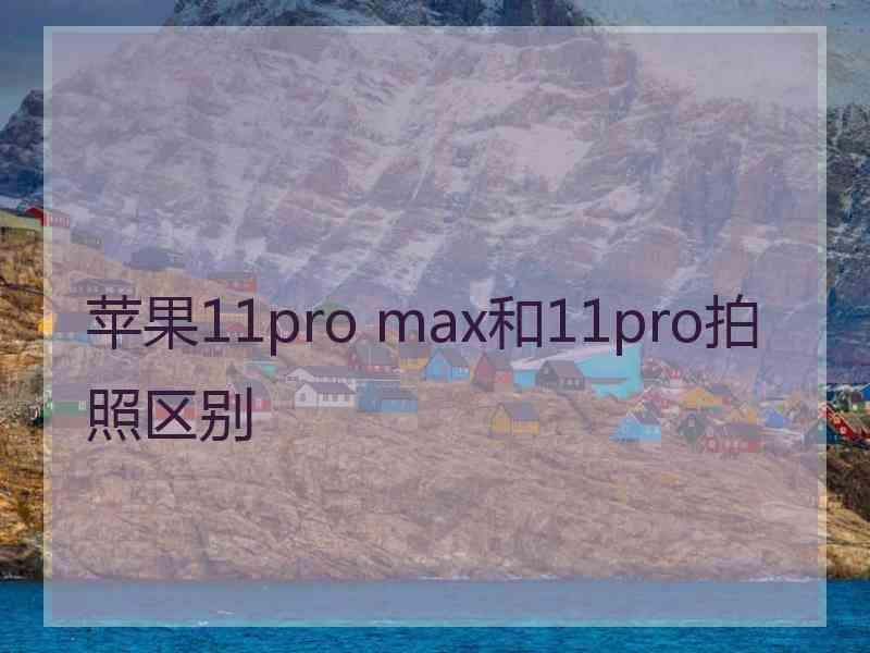 苹果11pro max和11pro拍照区别