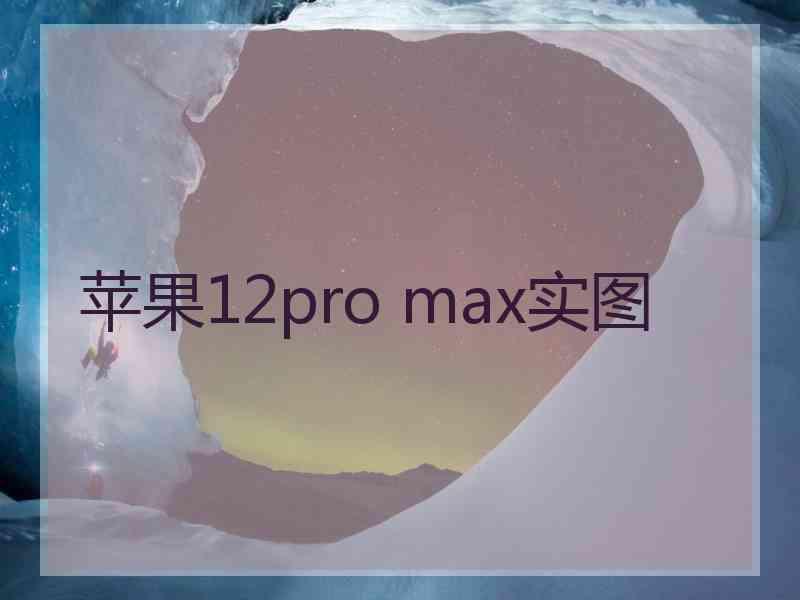 苹果12pro max实图