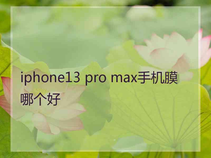 iphone13 pro max手机膜哪个好