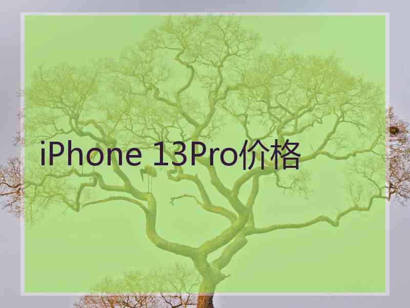 iPhone 13Pro价格