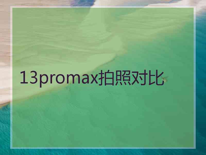 13promax拍照对比