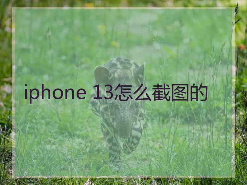 iphone 13怎么截图的