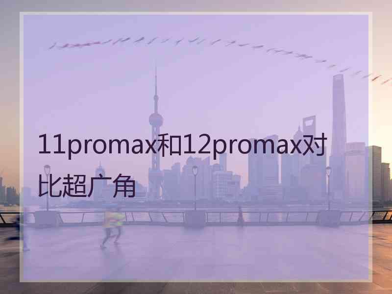 11promax和12promax对比超广角