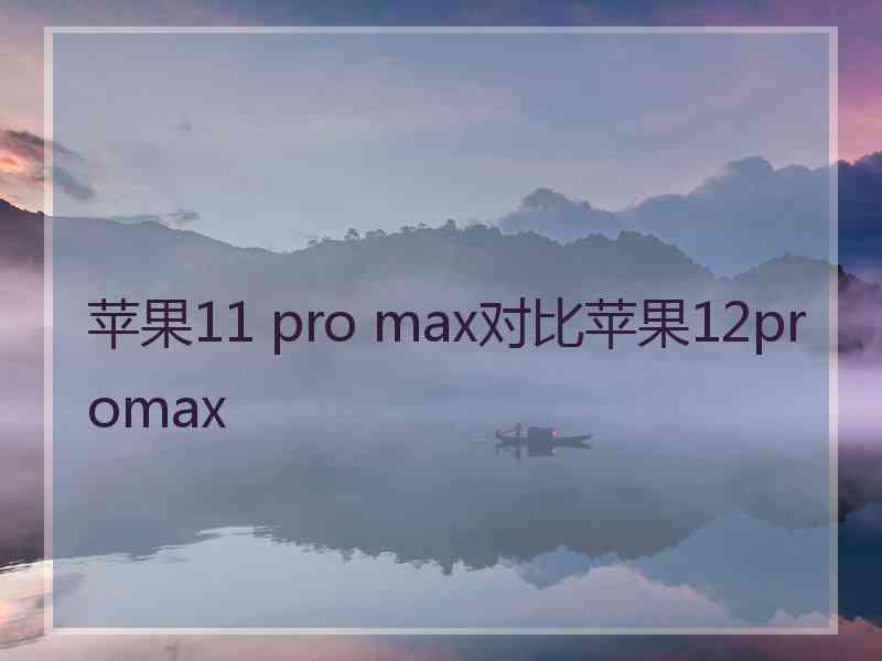 苹果11 pro max对比苹果12promax