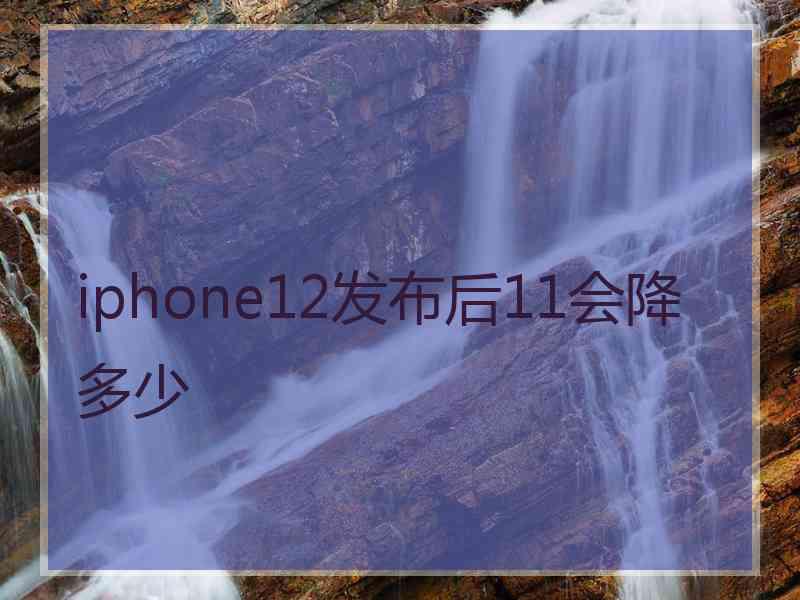 iphone12发布后11会降多少