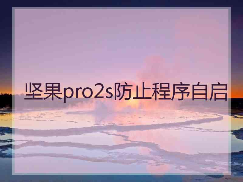 坚果pro2s防止程序自启