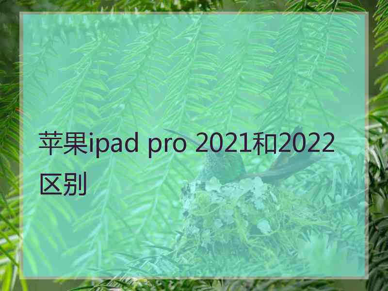 苹果ipad pro 2021和2022区别