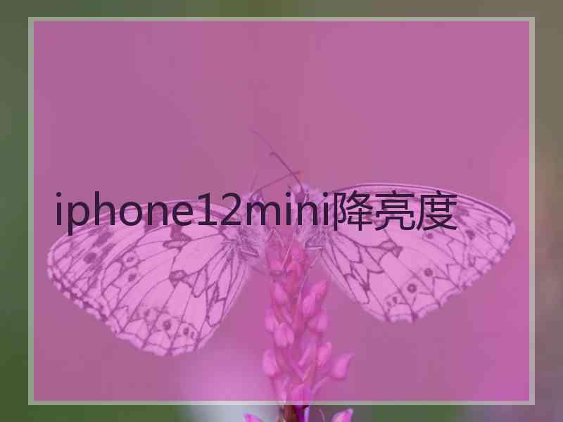 iphone12mini降亮度