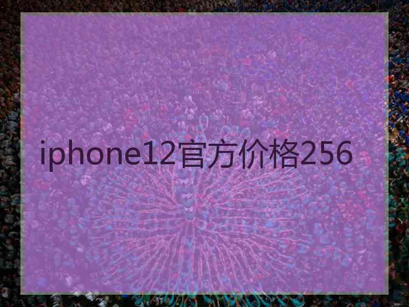 iphone12官方价格256