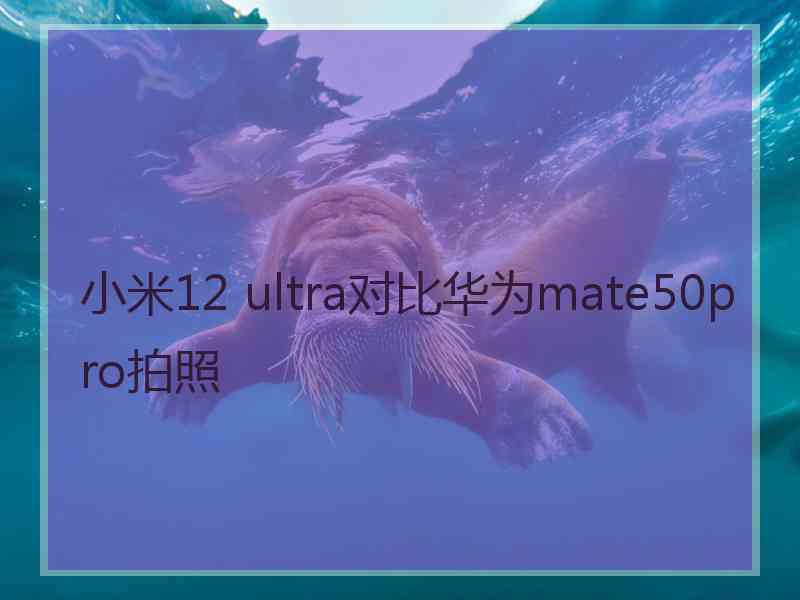 小米12 ultra对比华为mate50pro拍照