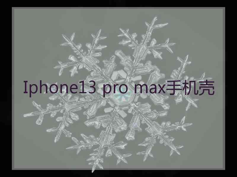 Iphone13 pro max手机壳