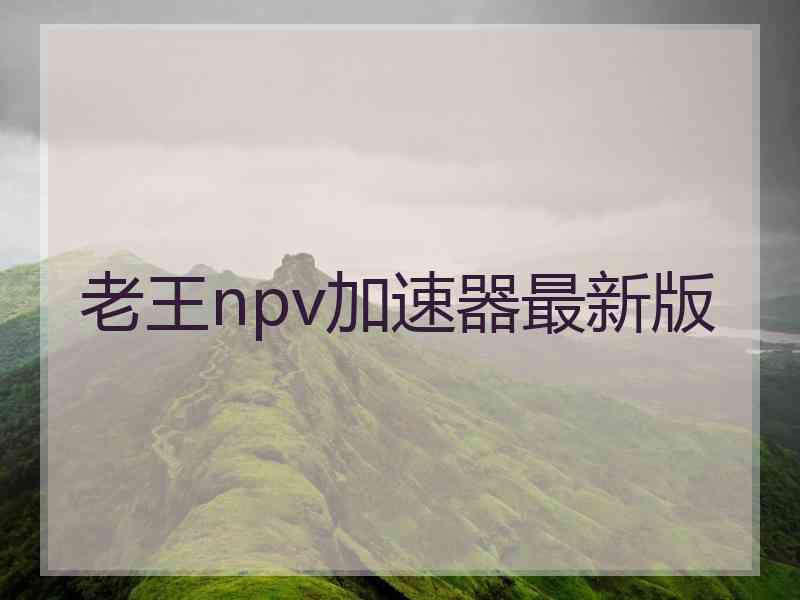 老王npv加速器最新版