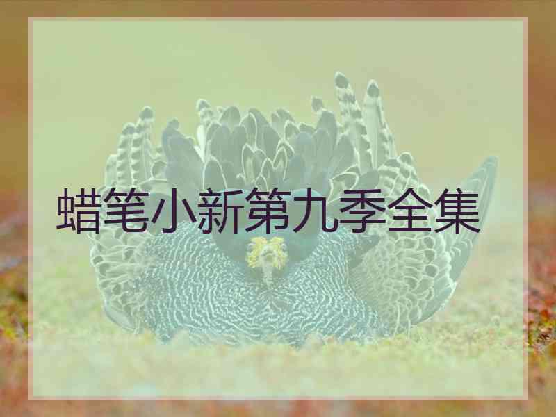 蜡笔小新第九季全集