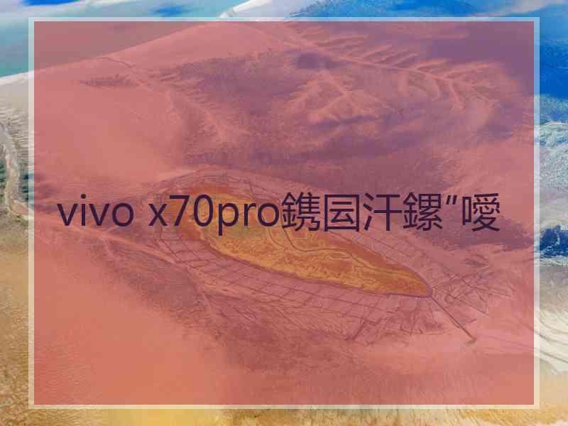 vivo x70pro鎸囩汗鏍″噯