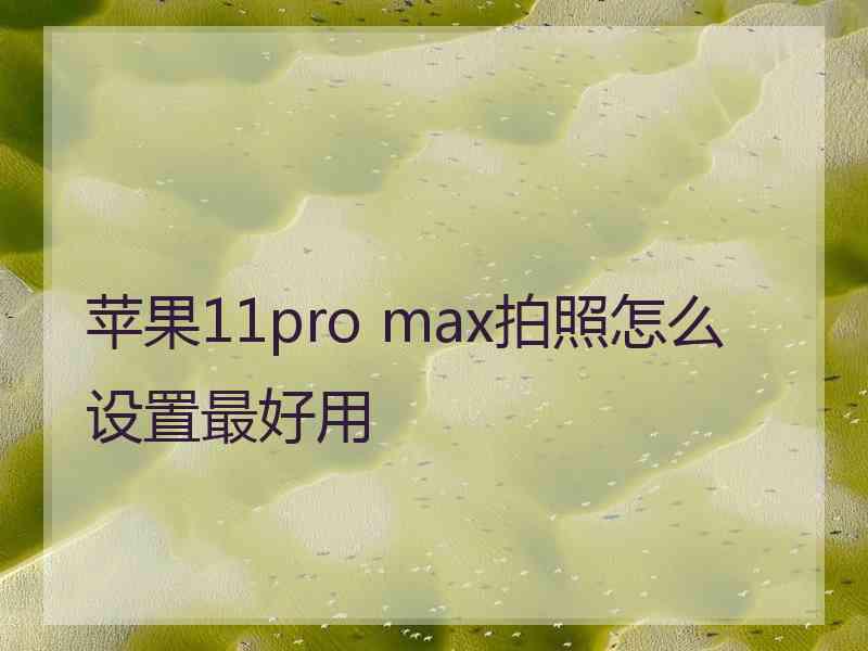 苹果11pro max拍照怎么设置最好用