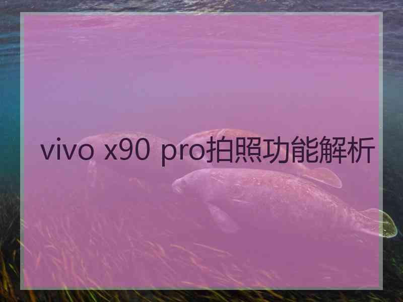 vivo x90 pro拍照功能解析