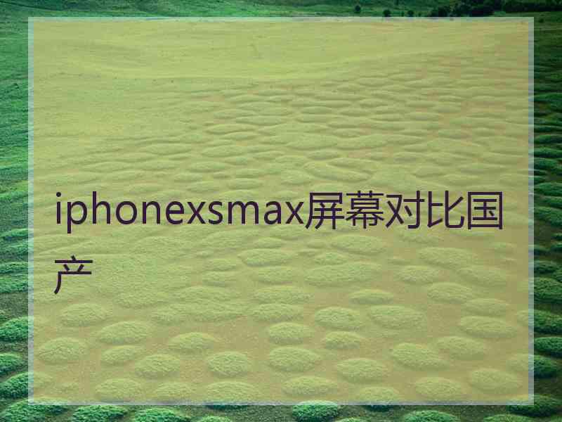 iphonexsmax屏幕对比国产