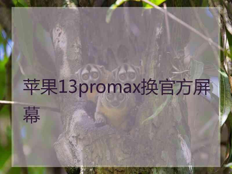 苹果13promax换官方屏幕