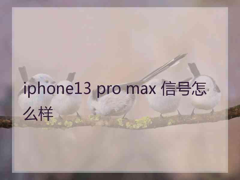 iphone13 pro max 信号怎么样