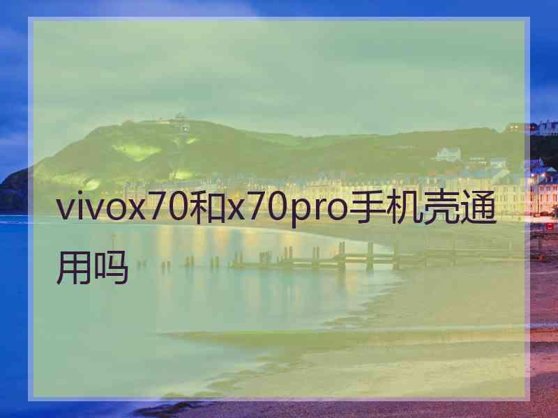 vivox70和x70pro手机壳通用吗