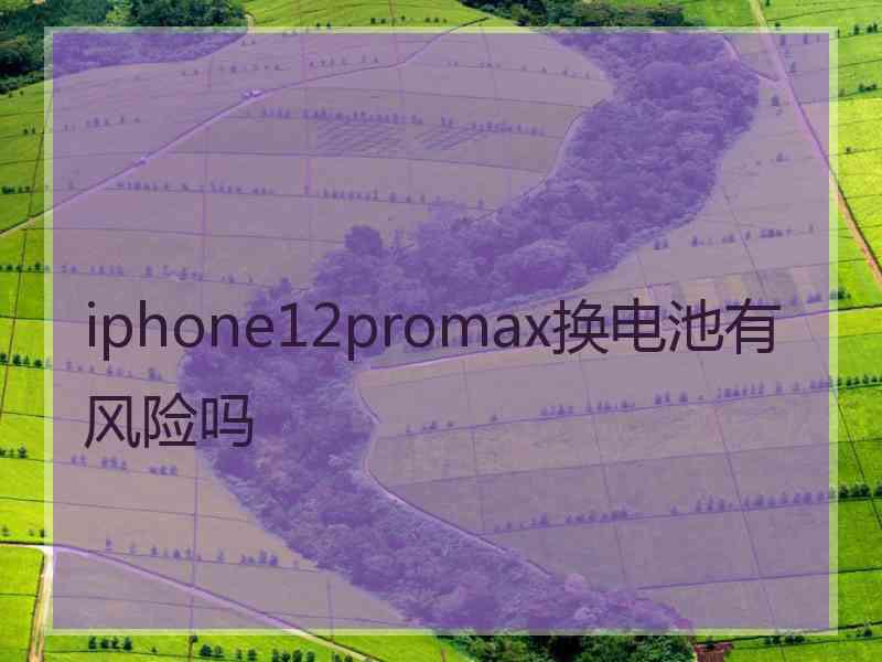 iphone12promax换电池有风险吗